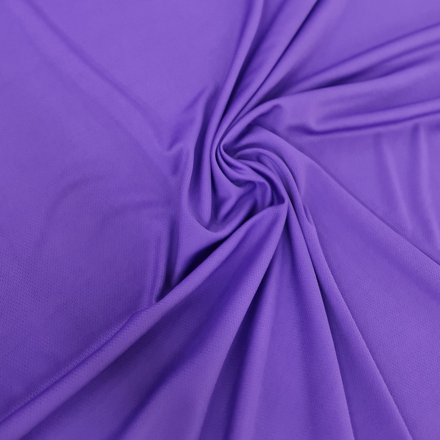 Birdseye- Purple