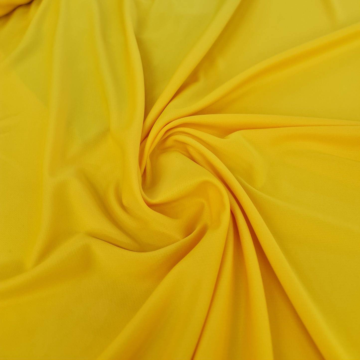 Birdseye- Yellow